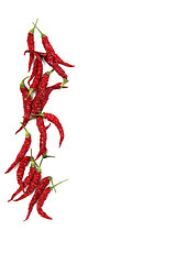 Image showing i - alphabet sign from hot chili