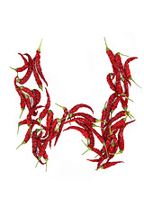 Image showing w - alphabet sign from hot chili