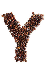 Image showing Y, alphabet from coffee beans