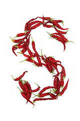 Image showing s - alphabet sign from hot chili