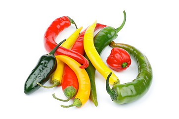 Image showing Chili Peppers