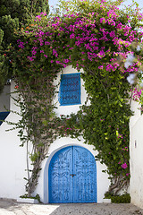 Image showing Blue doors and white wall of Sidi Bou Said, Tunisia