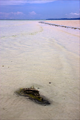 Image showing  indian ocean madagascar