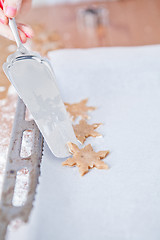 Image showing Shaped gingerbread dough and server