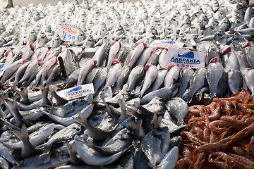 Image showing fish on market table