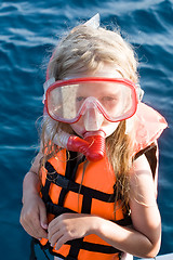 Image showing little diver