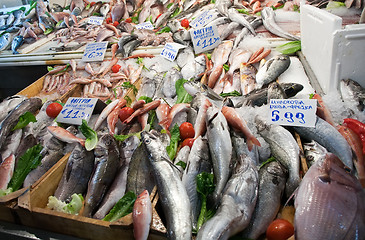 Image showing fresh fish on market table