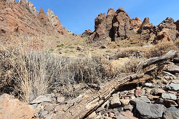 Image showing Tenerife - Teide National Park