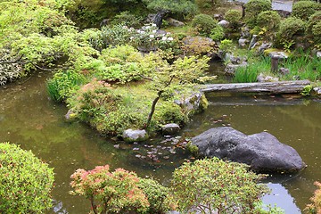 Image showing Japanese garden