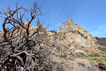 Image showing Tenerife