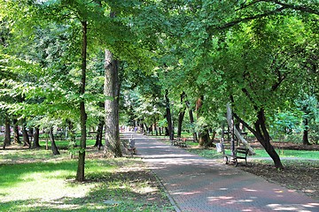 Image showing Bucharest park