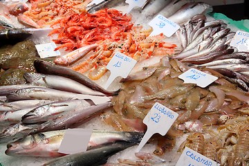 Image showing Sea food market