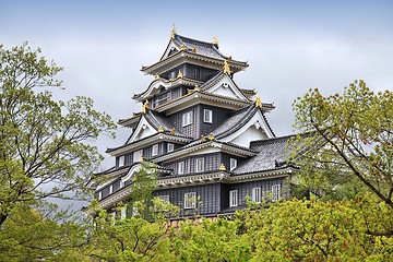 Image showing Okayama castle, Japan