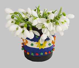 Image showing Snowdrops in the vase