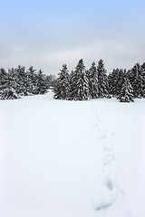 Image showing Canadian winter landscape