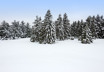 Image showing Canadian winter