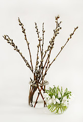 Image showing Still Life with bouquets of willow and snowdrops