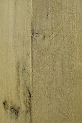 Image showing Wood Texture 