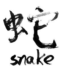 Image showing snake