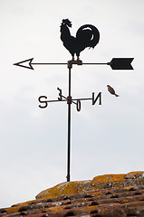 Image showing Wind cock weather vane direction