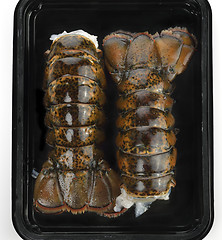 Image showing Raw Lobster Tails