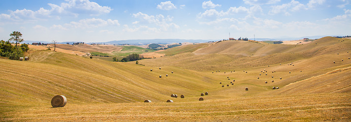 Image showing Country in Tuscany