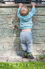 Image showing Baby boy in grey and blue