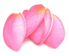 Image showing petals