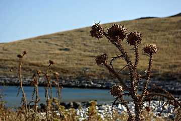 Image showing Cape Tenaro