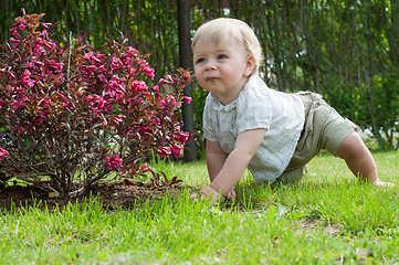 Image showing Little baby boy