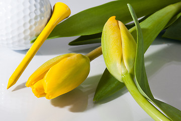 Image showing Flowers and golf 