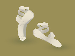 Image showing Ballet shoes