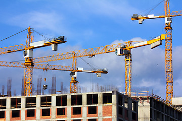 Image showing working construction cranes