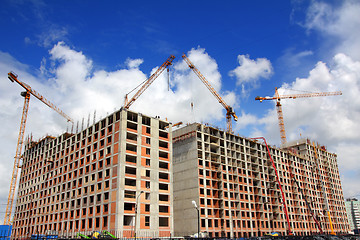 Image showing working construction cranes