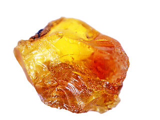 Image showing Amber