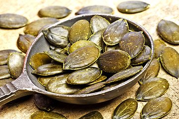 Image showing Pumpkin seed