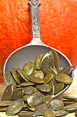Image showing Pumpkin seed