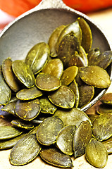 Image showing Pumpkin seed