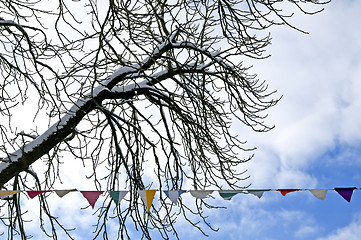 Image showing tree in winter with carneval flaggs