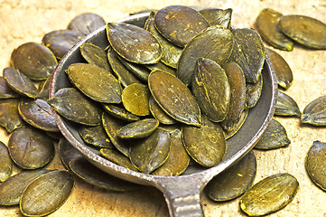 Image showing Pumpkin seed