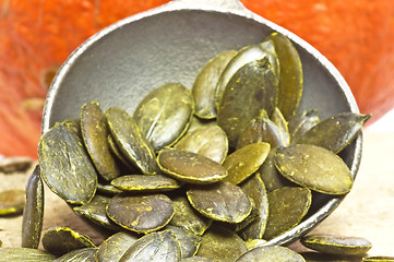 Image showing Pumpkin seed