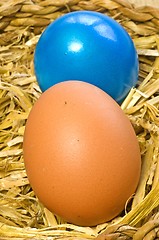 Image showing egg in a nest 