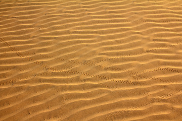 Image showing sand in desert with scarab footprints