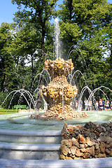 Image showing fountain in renovated Summer garden