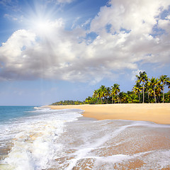 Image showing beach landscape