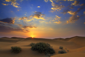 Image showing sunrise in desert