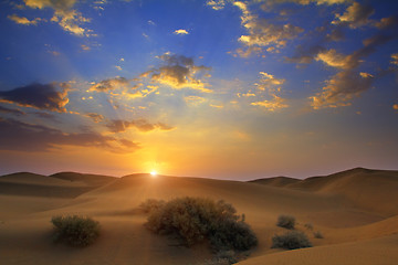 Image showing sunrise in desert