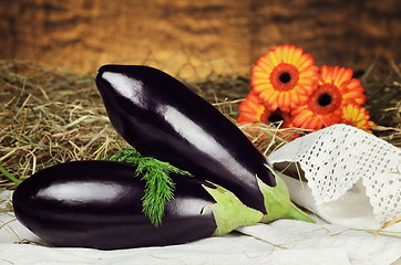 Image showing Aubergines