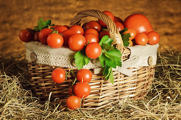 Image showing Cherry Tomatoes