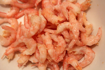 Image showing Many boiled tasty and refined shrimps